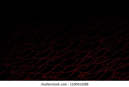 Light Red vector  template with circles. Beautiful colored illustration with blurred circles in nature style. New design for ad, poster, banner of your website.