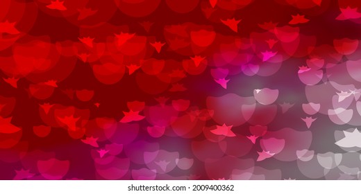 Light Red vector texture with circles, stars. Glitter abstract illustration with colorful drops, stars. Pattern for design of fabric, wallpapers.