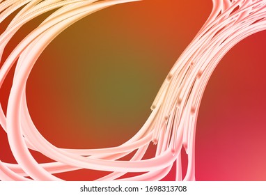 Light Red, Yellow vector abstract blurred background. A completely new colored illustration in blur style. The best blurred design for your business.