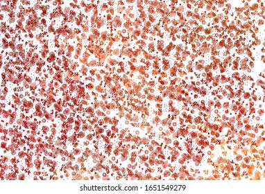 Light Red, Yellow vector backdrop with memphis shapes. Modern abstract illustration with colorful random forms. Elegant design for wallpapers.
