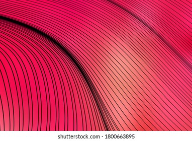 Light Red, Yellow vector backdrop with wry lines. Colorful gradient illustration in simple style with lines. Best design for your business.