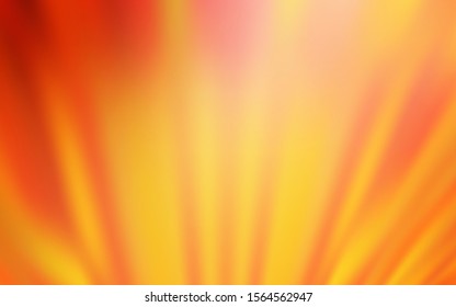 Light Red, Yellow vector background with stright stripes. Blurred decorative design in simple style with lines. Template for your beautiful backgrounds.