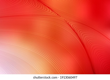 Light Red, Yellow vector background with wry lines. Modern gradient abstract illustration with bandy lines. Texture for booklets, leaflets.