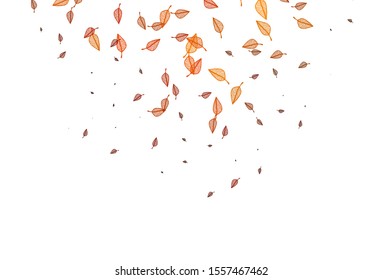 Light Red, Yellow vector doodle texture. New colorful illustration in doodle style with leaves. Hand painted design for wrapping, wallpaper.