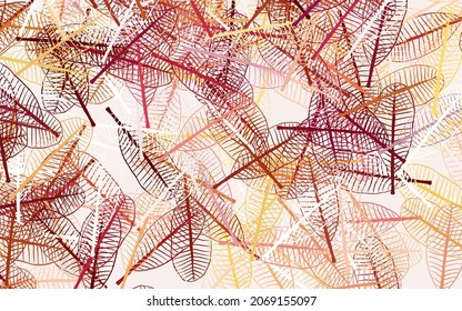 Light Red, Yellow vector elegant wallpaper with leaves. leaves on elegant natural pattern with gradient. New template for your brand book.