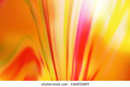 Light Red, Yellow vector glossy abstract layout. Colorful abstract illustration with gradient. Background for designs.