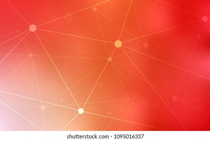 Light Red, Yellow vector layout with circles, lines. Colorful illustration with circles and lines in futuristic style. Pattern can be used for futuristic ad, booklets.