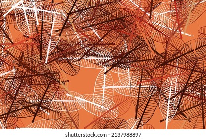 Light Red, Yellow vector natural backdrop with leaves. New colorful illustration in doodle style with leaves. New template for your design.