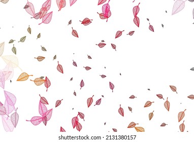 Rojo claro, fondo de esbozo vectorial amarillo. Ilustración decorativa con hojas coloridas abstractas. Patrón para papeles pintados y libros de colorido.