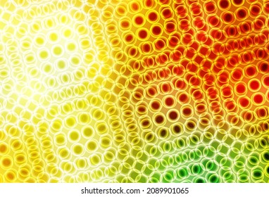 Light Red, Yellow vector template with circles. Blurred bubbles on abstract background with colorful gradient. New template for your brand book.