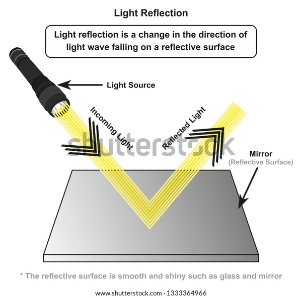 Light Reflection Infographic Diagram Example Light Stock Vector