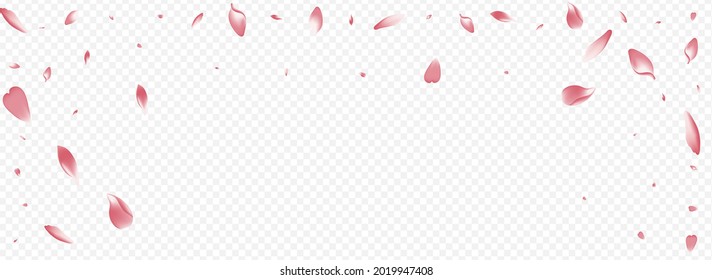 Light Rosa Vector Panoramic Transparent Background. Leaf Springtime Card. Tree Falling Pattern. Peach Blow Cover. White Flower Fresh Design.