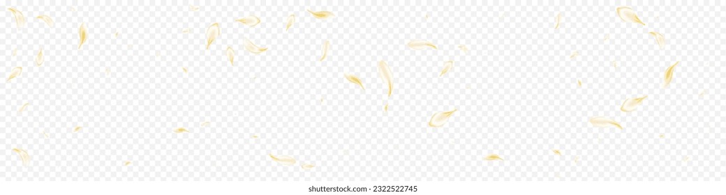 Light Rose Fall Vector Panoramic Transparent Background. Gold Beauty Flower Template. Delicate Blossom Summer Wallpaper. Yellow Floral Flying Pattern. Japanese Cherry Frame.