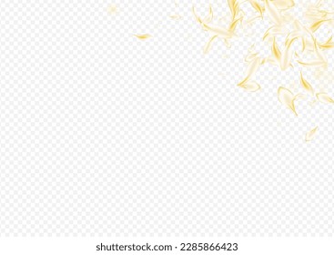 hellrosa, japanischer, transparenter Hintergrund. Beige Summer Sakura Banner. White Lotus Fall Illustration. Gelbe Blütenfeder-Design. Fliegendes Kirschholz.