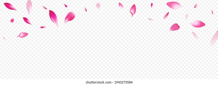 Light Rose Vector Panoramic Transparent Background. Rosa Spa Template. Leaf Overlay Congratulation. Petal Flying Banner. Red Blossom Marriage Card.