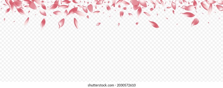 Light Rose Vector Panoramic Transparent Background. Blossom Wind Texture. Heart Graphic Illustration. Lotus Japan Congratulation. Bright Blooming Isolated Banner.