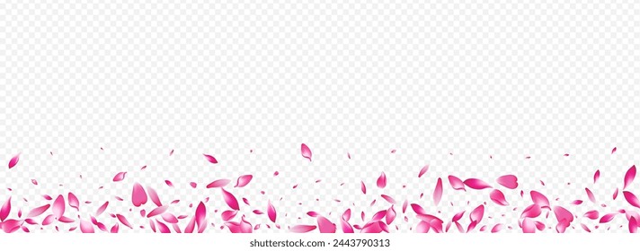 Light Rose Vector Panoramic Transparent Background. Apple Invitation Card. Blossom Isolated Template. Leaf Air Cover. White Petal Rain Texture.