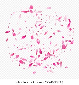 Light Rose Vector Transparent Background. Apple Fly Illustration. Rosa Feminine Banner. Flower Fresh Cover. Pink Sakura Sky Card.