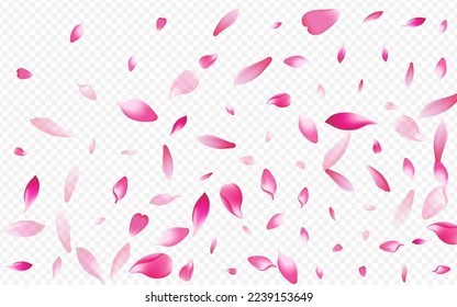 Light Rose Vector Transparent Background. Blossom Valentine Congratulation. Floral Flying Poster. Cherry Nature Texture. Pink Sakura Fresh Design.