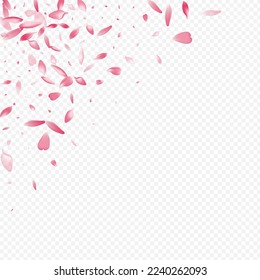 Light Rose Vector Transparent Background. Heart Beauty Cover. Peach Isolated Pattern. Sakura Blur Poster. White Apple Fly Congratulation.
