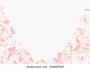 Light Rose Vector Transparent Background. Blossom Beauty Pattern. Lotus Air Banner. Peach Fly Illustration. Color Leaf Japan Poster.