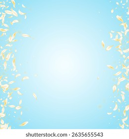 Light Sakura Beauty Vector Blue Background. White Tender Rose Template. Beige Flower Summer Wallpaper. Gold Lotus Japan Banner. Flying Peach Pattern.