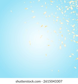 Light Sakura Spring Vector Blue Background. White Blur Floral Wallpaper. Beige Cherry Japan Template. Delicate Rose Flying Banner. Falling Peach Frame.