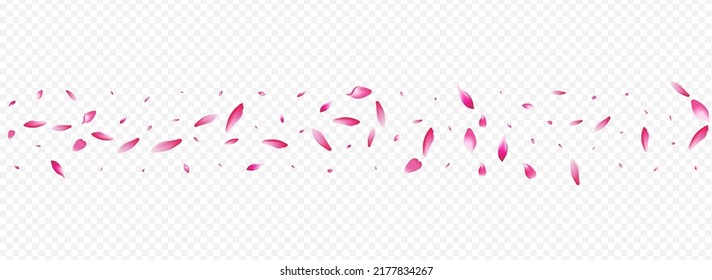 Light Sakura Vector Panoramic Transparent Background. Petal Flying Poster. Blooming 3d Backdrop. Lotus Free Texture. Bright Confetti Blur Banner.