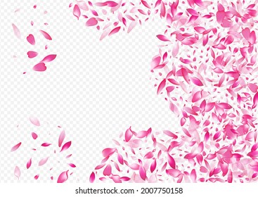 Light Sakura Vector Transparent Background. Blossom Flutter Texture. Peach Wind Illustration. Tree Fly Banner. Color Rose Falling Cover.