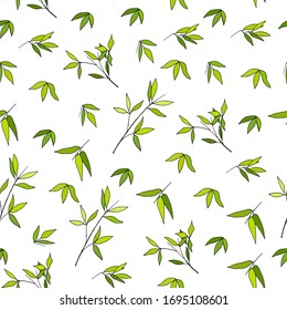Fondo transparente con hojas verdes. Textura vectorial interminable para los tejidos de cocina, ropa de cama, tela y bkmagi para la decoración.