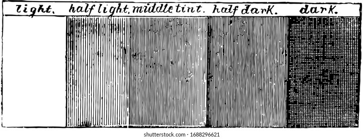 Light and Shade is the principle of light and shade, its simple form focusing on shadow and depicting levels of darkness on paper , vintage line drawing or engraving illustration.