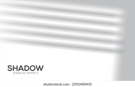 Light shadow wall background, sun light or sunlight of window shade, vector overlay. Sunshine light reflected on transparent wall background, realistic effect, sun light shining through window.