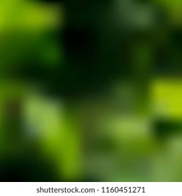 Light shining on tree leaves. Booked Blur Abstract  vector Background. Green leaves Summer Spring Background. Focus Bokeh Background.