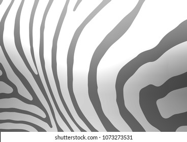 Light Silver, Gray vector abstract doodle background. A completely new color illustration in doodle style. The doodle design can be used for your web site.