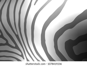 Light Silver, Gray vector abstract doodle pattern. Shining colored illustration with doodles in Zen tangle style. A new texture for your design.