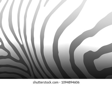 Light Silver, Gray vector abstract doodle texture. Colorful illustration in abstract style with doodles and Zen tangles. The pattern can be used for wallpapers and coloring books.