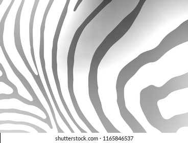 Light Silver, Gray vector abstract doodle texture. A vague abstract illustration with doodles in Indian style. The template can be used as a background for cell phones.