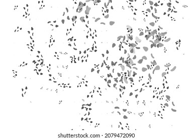 Light Silver, Gray vector background with abstract forms. Modern abstract illustration with colorful random forms. Simple design for your web site.