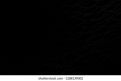 Light Silver, Gray vector  cover with spots. Beautiful colored illustration with blurred circles in nature style. Beautiful design for your business natural advert.