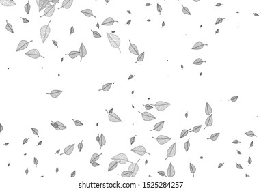 Light Silver, Gray vector doodle background. Modern geometrical abstract illustration with leaves. New template for your brand book.