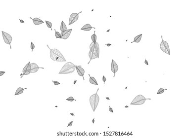 Light Silver, Gray vector doodle layout. Abstract leaves with gradient on simple background. Doodle design for your web site.