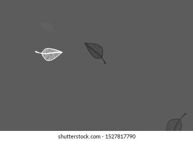 Light Silver, Gray vector doodle backdrop. A vague abstract illustration with leaves in doodles style. Pattern for wallpapers and coloring books.
