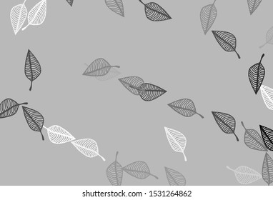 Light Silver, Gray vector doodle backdrop. An elegant bright illustration with leaves in Natural style. Brand new design for your business.