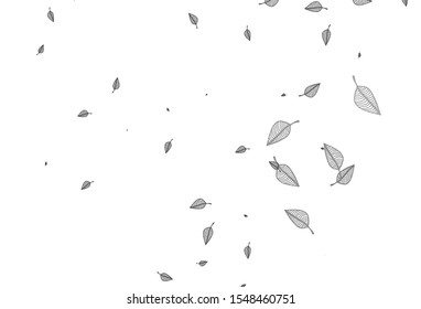 Light Silver, Gray vector doodle cover. Pattern with gradient colorful leaves in natural style. Brand new style for your business design.