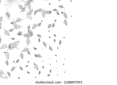 Light Silver, Gray vector hand painted texture. Smart decorative design in natural style with leaves. Brand new style for your business design.