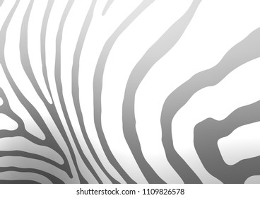 Light Silver, Gray vector indian curved pattern. Geometric doodle illustration in Origami style with gradient. The pattern can be used for heads of websites and designs.