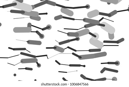 Light Silver, Gray vector layout with flat lines. Decorative shining illustration with lines on abstract template. Smart design for your business advert.