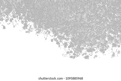 Light Silver, Gray vector layout with flat lines. Modern geometrical abstract illustration with staves. The template can be used as a background.
