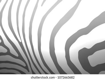 Light Silver, Gray vector natural elegant pattern. Glitter abstract illustration with doodles and Zen tangles. A completely new template for your business design.