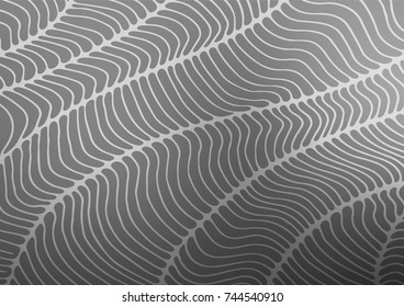 Light Silver, Gray vector natural elegant background. Blurred decorative design in Indian style with lines. Hand painted design for web, leaflet, textile.